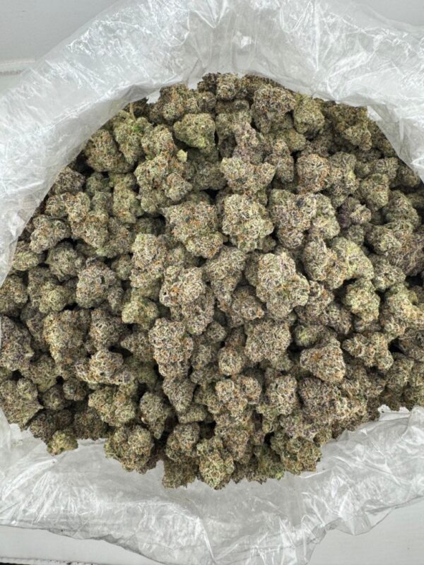 BLACK CHERRY GELATO | INDOOR EXOTIC (BIGS) BY YELLOW THUMB