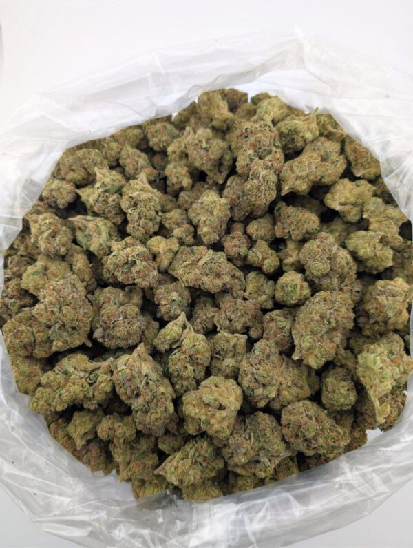 BLACK CHERRY SODA | MIXED-LIGHT DEP EXOTIC (BIGS)
