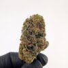 CARTEL | MIXED-LIGHT DEP EXOTIC(BIGS)