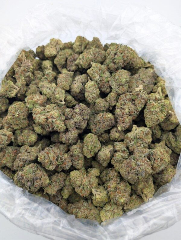 CARTEL | MIXED-LIGHT DEP EXOTIC(BIGS)