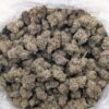 COSMIC FUNK | INDOOR EXOTIC (BIGS)