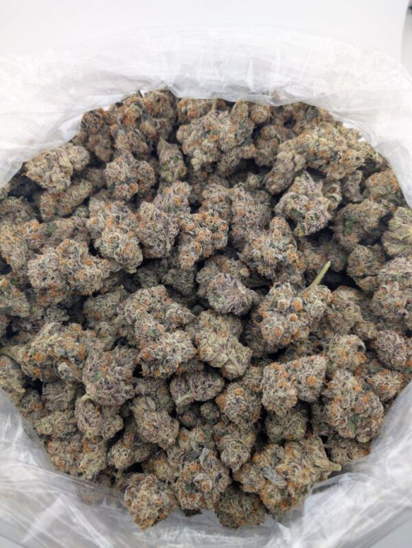 COSMIC FUNK | INDOOR EXOTIC (BIGS)