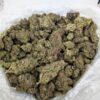 DOSI x GELATO| MIXED-LIGHT DEP EXOTIC(BIGS)