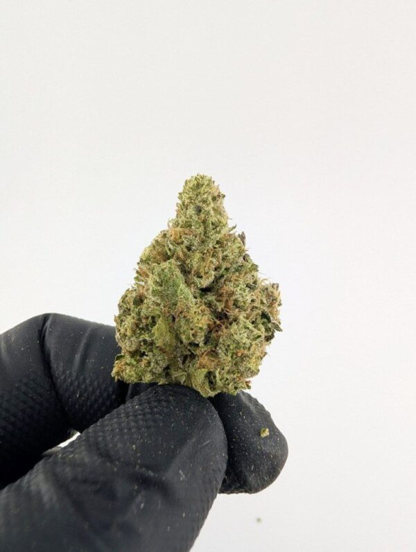 GRUNTZ | MIXED-LIGHT DEP (BIGS)