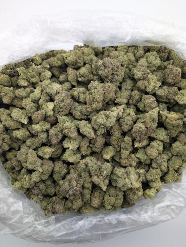 GRUNTZ | MIXED-LIGHT DEP (BIGS)