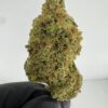 HEAD BAND | INDOOR EXOTIC (BIGS) BY BURNING ROPE FARMS (NO PACKAGING)