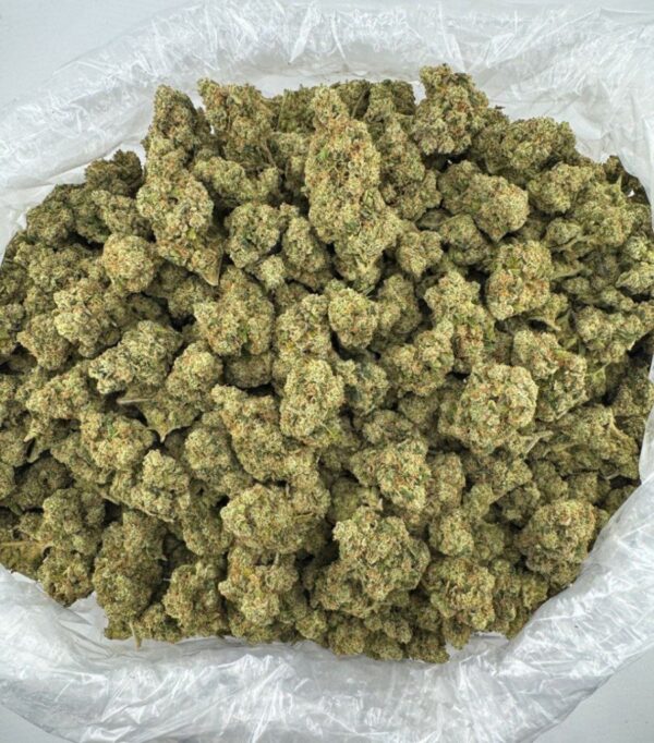 HEAD BAND | INDOOR EXOTIC (BIGS) BY BURNING ROPE FARMS (NO PACKAGING)