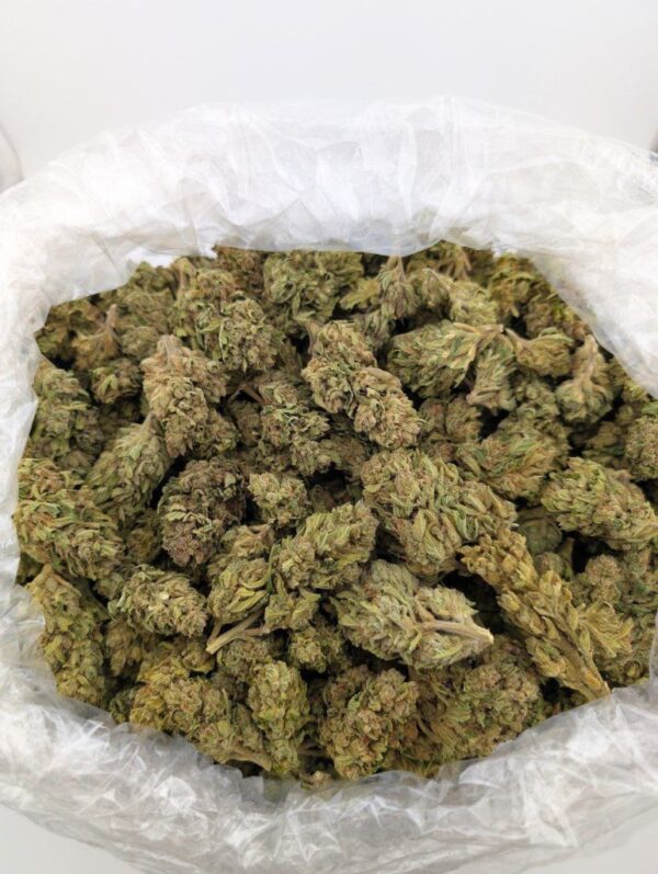MENDO JUICE| MIXED-LIGHT DEP (BIGS)