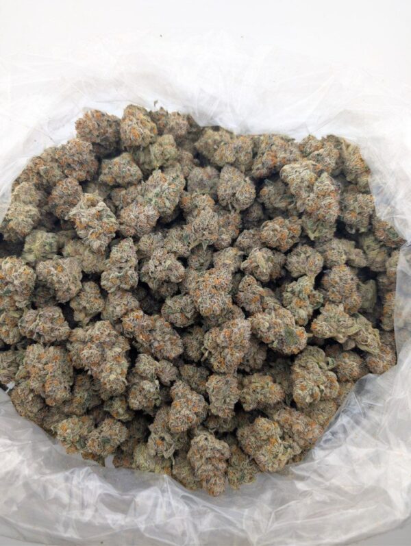 NEW MONEY #5 | INDOOR EXOTIC (BIGS)