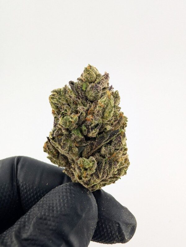 PERMANENT MARKET | MIXED - LIGHT DEP EXOTIC (BIGS)
