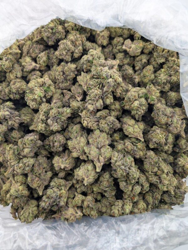 PERMANENT MARKET | MIXED - LIGHT DEP EXOTIC (BIGS)