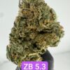 PERSONAL FLOWER | INDOOR EXOTIC (BIGS) BY WIZARD TREES (NO PACKAGING)