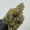 TOM FORD BISCOTTI OG | INDOOR EXOTIC (BIGS)