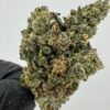 TOM FORD BISCOTTI OG | INDOOR EXOTIC (BIGS)