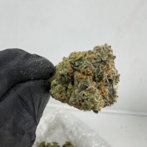 TOM FORD BISCOTTI OG | INDOOR EXOTIC (BIGS)