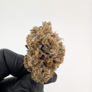 Z-PIE INDOOR EXOTIC (BIGS)