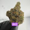 PERSONAL FLOWER | INDOOR EXOTIC (BIGS) BY WIZARD TREES (NO PACKAGING)
