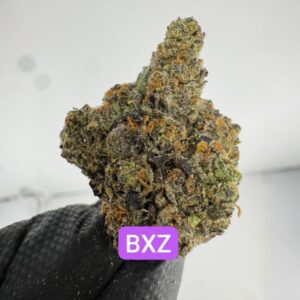 PERSONAL FLOWER | INDOOR EXOTIC (BIGS) BY WIZARD TREES (NO PACKAGING)