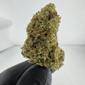 HEAD BAND | INDOOR EXOTIC (BIGS) BY BURNING ROPE FARMS (NO PACKAGING)