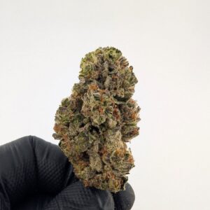 CARTEL | MIXED-LIGHT DEP EXOTIC(BIGS)