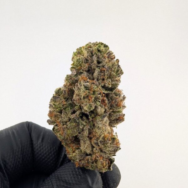CARTEL | MIXED-LIGHT DEP EXOTIC(BIGS)