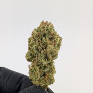 GRUNTZ | MIXED-LIGHT DEP (BIGS)
