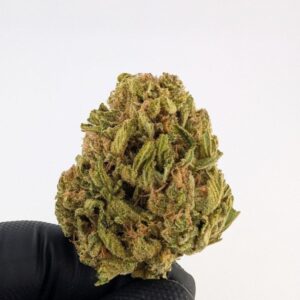 MENDO JUICE| MIXED-LIGHT DEP (BIGS)