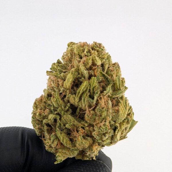 MENDO JUICE| MIXED-LIGHT DEP (BIGS)