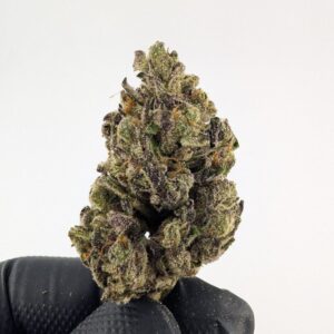 PERMANENT MARKET | MIXED - LIGHT DEP EXOTIC (BIGS)
