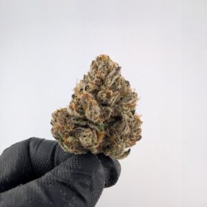 TROPICAL RUNTZ | INDOOR EXOTIC (BIGS)