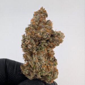 The ZOAP |INDOOR EXOTIC (SATIVA)(BIGS)