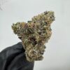BLUE GOTTI | INDOOR EXOTIC (BIGS) BY YELLOW THUMB