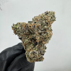 BLUE GOTTI | INDOOR EXOTIC (BIGS) BY YELLOW THUMB