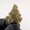 KHALIFA KANDY | INDOOR EXOTIC (SATIVA)(BIGS)