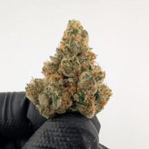 KHALIFA KANDY | INDOOR EXOTIC (SATIVA)(BIGS)
