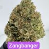PERSONAL FLOWER | INDOOR EXOTIC (BIGS) BY WIZARD TREES (NO PACKAGING)