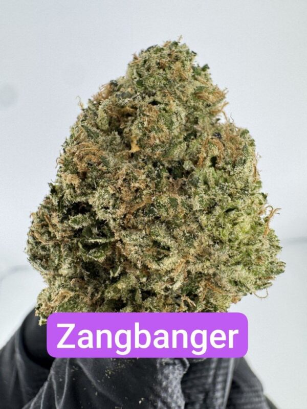PERSONAL FLOWER | INDOOR EXOTIC (BIGS) BY WIZARD TREES (NO PACKAGING)