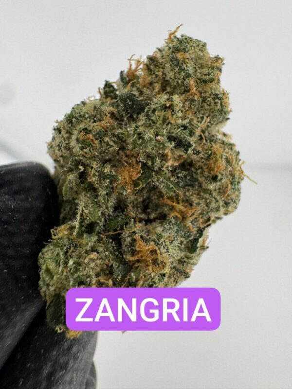 PERSONAL FLOWER | INDOOR EXOTIC (BIGS) BY WIZARD TREES (NO PACKAGING)