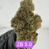 PERSONAL FLOWER | INDOOR EXOTIC (BIGS) BY WIZARD TREES (NO PACKAGING)