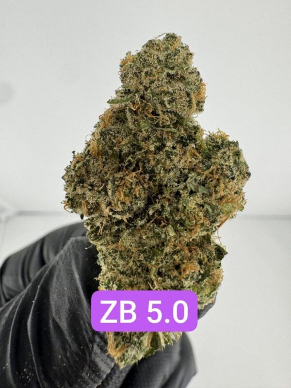 PERSONAL FLOWER | INDOOR EXOTIC (BIGS) BY WIZARD TREES (NO PACKAGING)