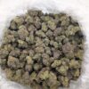 BISCOTTI x RAINBOW BELTS | INDOOR EXOTIC BIGS