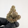 BLUE ANDEEZE | INDOOR EXOTIC (BIGS)