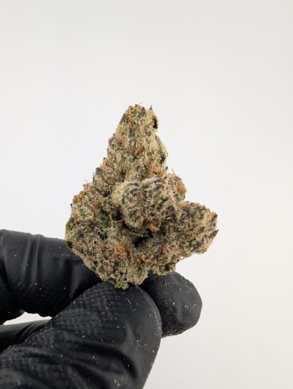 BLUE ANDEEZE | INDOOR EXOTIC (BIGS)