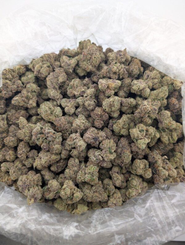 BLUE ANDEEZE | INDOOR EXOTIC (BIGS)