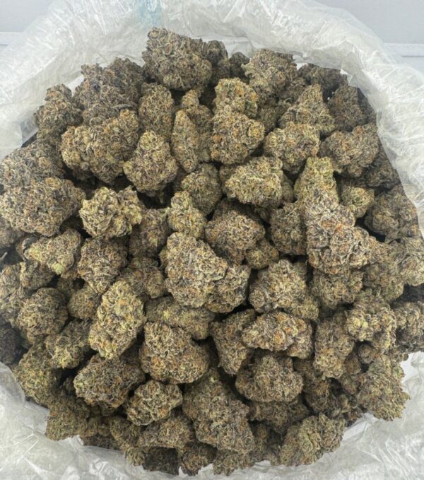 candy-glue-3 LEMON CHERRY GELATO | INDOOR EXOTIC BIGS