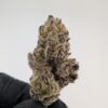 GOLD DUST | INDOOR EXOTIC (BIGS)