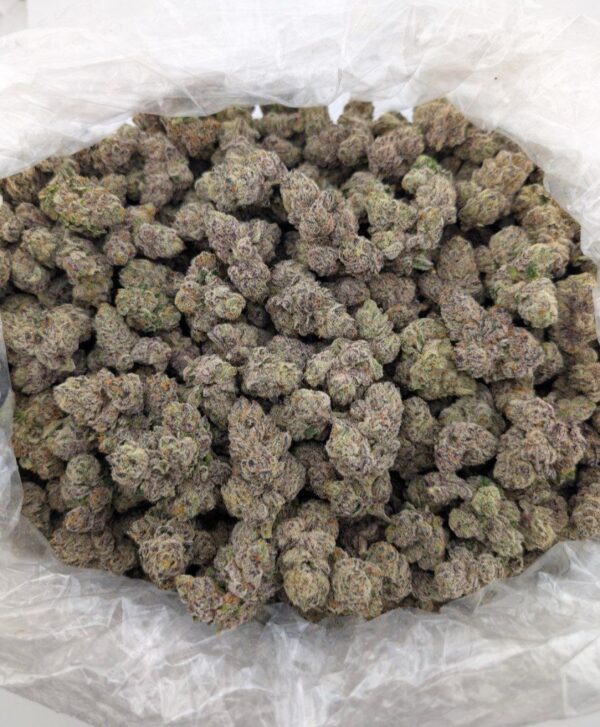 GOLD DUST | INDOOR EXOTIC (BIGS)