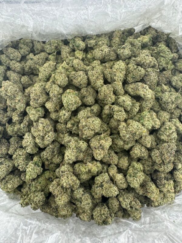 LCG X OG | INDOOR EXOTIC (BIGS)