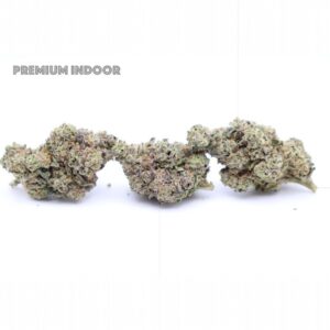 PERMIUM INDOOR FLOWER