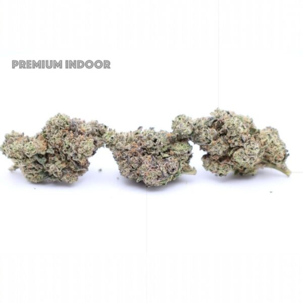 PERMIUM INDOOR FLOWER